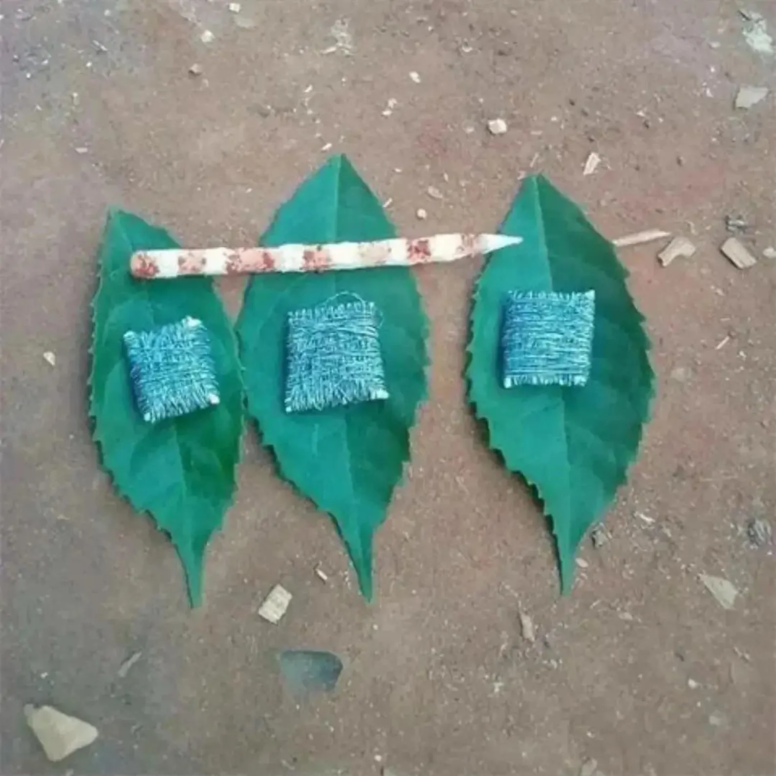 A photo of three oval leaves with string-wrapped parcels on top of each.